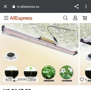 light LED